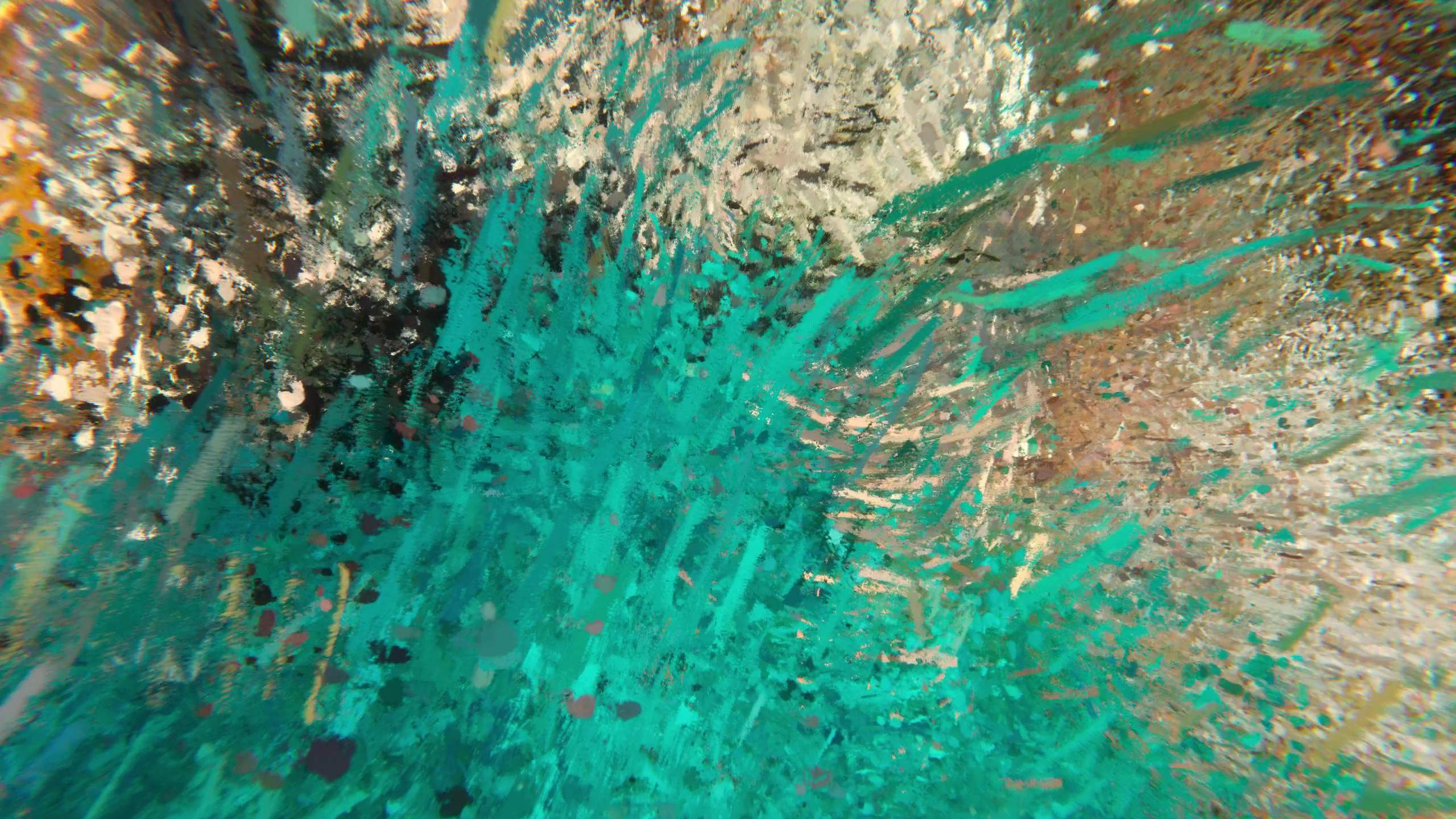 Memory of Degas No.1